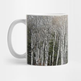 A Grove of Birch Trees Mug